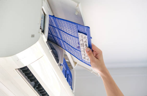 Best Air Duct Mold Removal  in Denham Springs, LA
