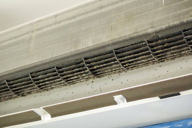 Best Residential Air Duct Cleaning  in Denham Springs, LA