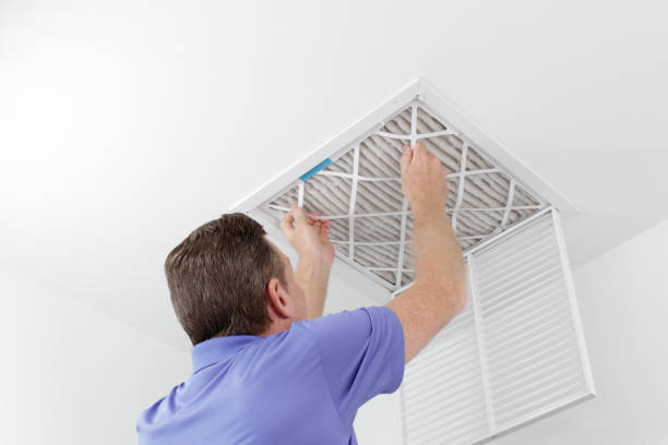 Air Duct Mold Removal in Denham Springs, LA